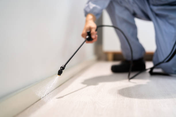 Licensed Pest Control service in Waskom, TX - Show Me Pest Control