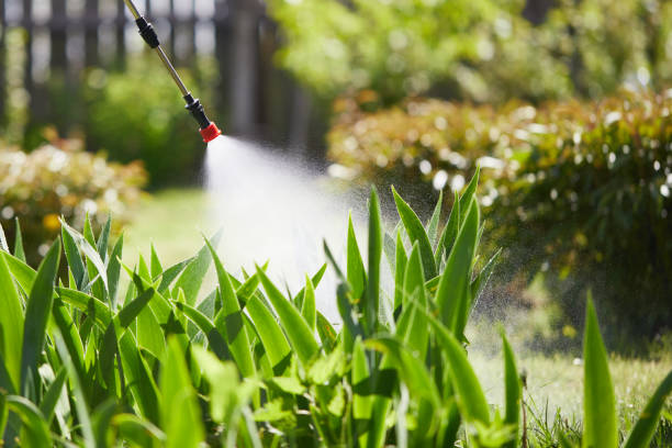 24/7 Emergency Wasp Removal experts in Waskom, TX