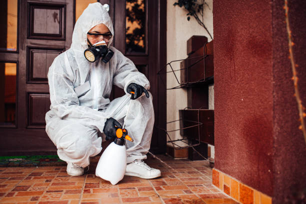 Reliable Wasp Removal contractor in Waskom, TX by Show Me Pest Control